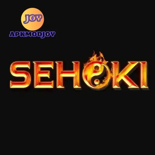 Review Aplikasi sehoki